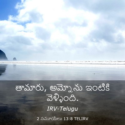 Picture 03 - 2 సమూయేలు 13:8 TELIRV - తామారు, అమ్నోను - Bible Verse Picture