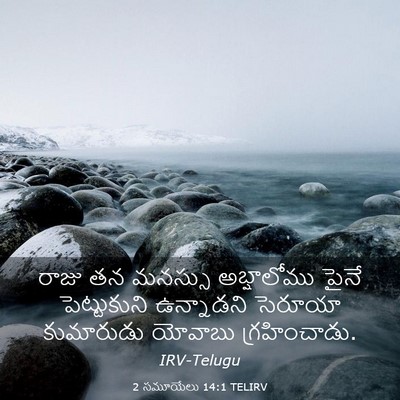 Picture 03 - 2 సమూయేలు 14:1 TELIRV - రాజు తన మనస్సు - Bible Verse Picture
