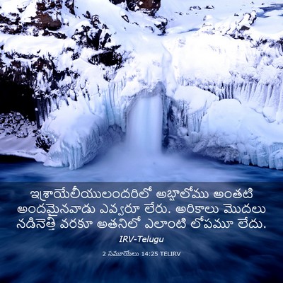 Picture 03 - 2 సమూయేలు 14:25 TELIRV -  - Bible Verse Picture