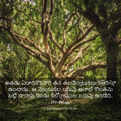 Picture 03 - 2 సమూయేలు 14:26 TELIRV - అతడు ఏడాదికొకసారి - Bible Verse Picture