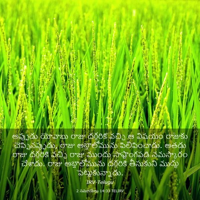 Picture 03 - 2 సమూయేలు 14:33 TELIRV - అప్పుడు యోవాబు - Bible Verse Picture