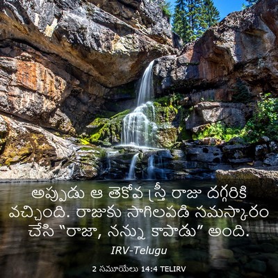 Picture 03 - 2 సమూయేలు 14:4 TELIRV - అప్పుడు ఆ తెకోవ - Bible Verse Picture