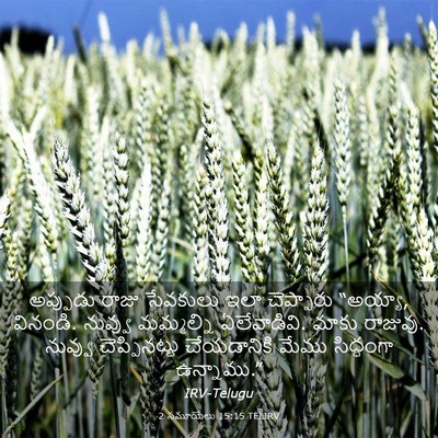 Picture 03 - 2 సమూయేలు 15:15 TELIRV - అప్పుడు రాజు - Bible Verse Picture