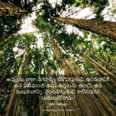 Picture 03 - 2 సమూయేలు 15:16 TELIRV - అప్పుడు రాజు - Bible Verse Picture