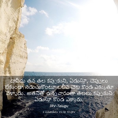 Picture 03 - 2 సమూయేలు 15:30 TELIRV - దావీదు తన తల - Bible Verse Picture