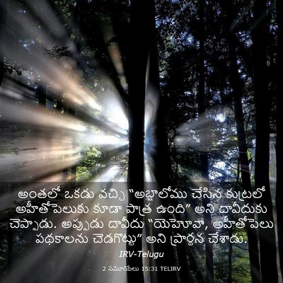 Picture 03 - 2 సమూయేలు 15:31 TELIRV - అంతలో ఒకడు వచ్చి - Bible Verse Picture