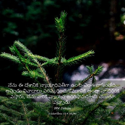 Picture 03 - 2 సమూయేలు 15:4 TELIRV - నేను ఈ దేశానికి - Bible Verse Picture