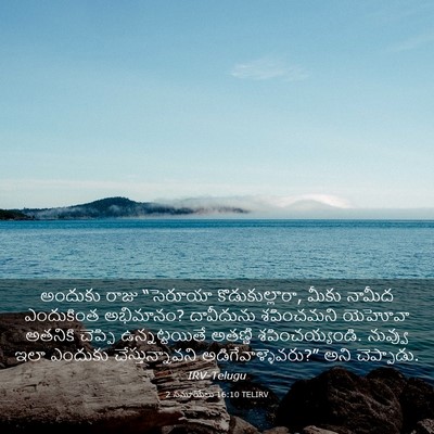Picture 03 - 2 సమూయేలు 16:10 TELIRV - అందుకు రాజు - Bible Verse Picture