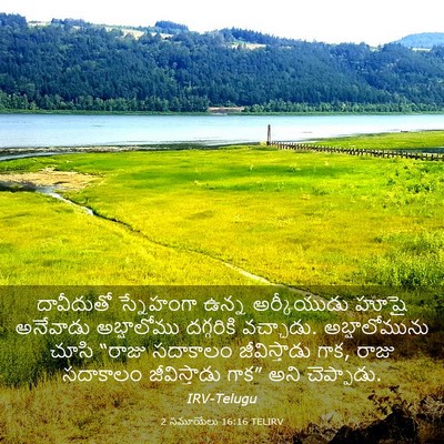 Picture 03 - 2 సమూయేలు 16:16 TELIRV - దావీదుతో స్నేహంగా - Bible Verse Picture