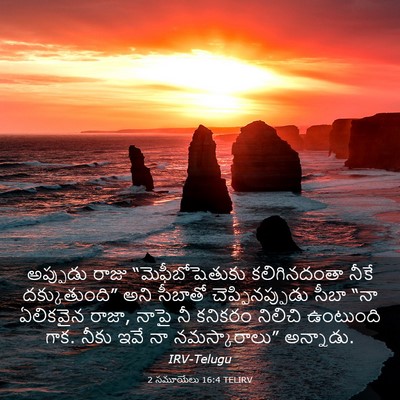 Picture 03 - 2 సమూయేలు 16:4 TELIRV - అప్పుడు రాజు - Bible Verse Picture