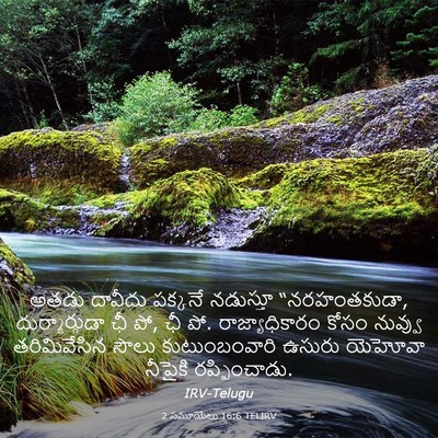 Picture 03 - 2 సమూయేలు 16:6 TELIRV - అతడు దావీదు - Bible Verse Picture