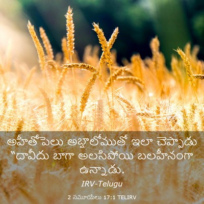 Picture 03 - 2 సమూయేలు 17:1 TELIRV - అహీతోపెలు - Bible Verse Picture