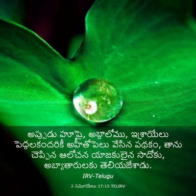 Picture 03 - 2 సమూయేలు 17:15 TELIRV - అప్పుడు హూషై, - Bible Verse Picture