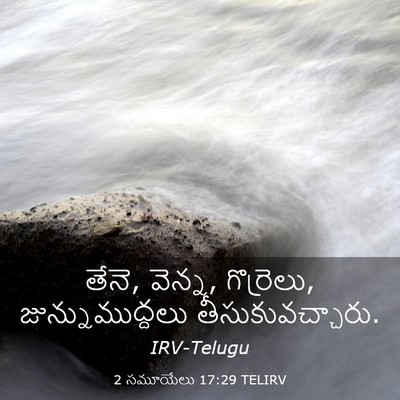 Picture 03 - 2 సమూయేలు 17:29 TELIRV - తేనె, వెన్న, - Bible Verse Picture