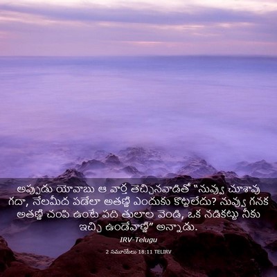 Picture 03 - 2 సమూయేలు 18:11 TELIRV - అప్పుడు యోవాబు ఆ - Bible Verse Picture