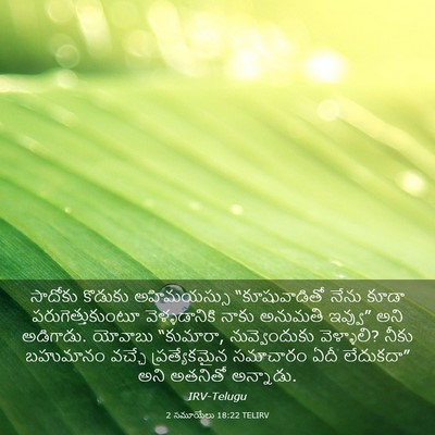 Picture 03 - 2 సమూయేలు 18:22 TELIRV - సాదోకు కొడుకు - Bible Verse Picture