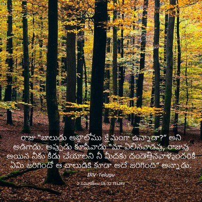 Picture 03 - 2 సమూయేలు 18:32 TELIRV - రాజు “బాలుడు - Bible Verse Picture