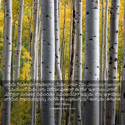 Picture 03 - 2 సమూయేలు 19:22 TELIRV - దావీదు “సెరూయా - Bible Verse Picture