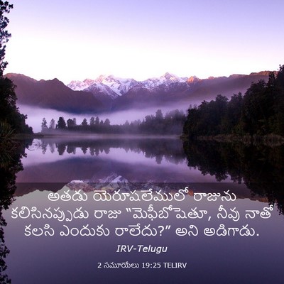 Picture 03 - 2 సమూయేలు 19:25 TELIRV - అతడు యెరూషలేములో - Bible Verse Picture