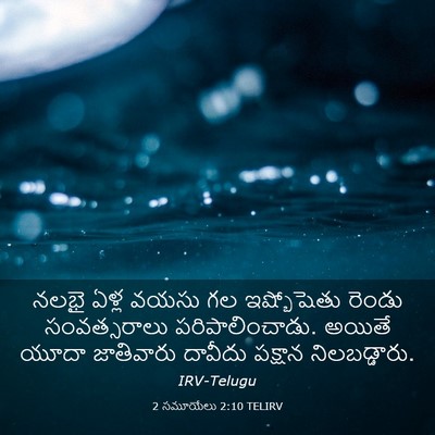 Picture 03 - 2 సమూయేలు 2:10 TELIRV - నలభై ఏళ్ల వయసు గల - Bible Verse Picture