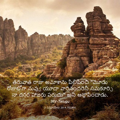Picture 03 - 2 సమూయేలు 20:4 TELIRV - తరువాత రాజు - Bible Verse Picture
