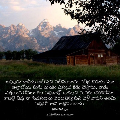 Picture 03 - 2 సమూయేలు 20:6 TELIRV - అప్పుడు దావీదు - Bible Verse Picture
