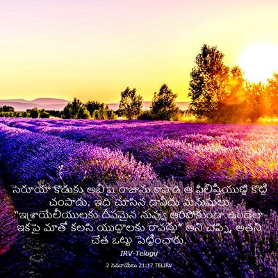 Picture 03 - 2 సమూయేలు 21:17 TELIRV - సెరూయా కొడుకు - Bible Verse Picture