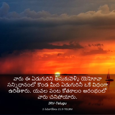 Picture 03 - 2 సమూయేలు 21:9 TELIRV - వారు ఈ ఏడుగురిని - Bible Verse Picture