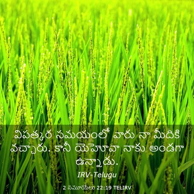 Picture 03 - 2 సమూయేలు 22:19 TELIRV - విపత్కర సమయంలో - Bible Verse Picture