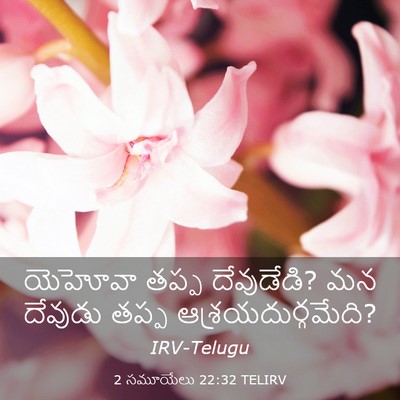 Picture 03 - 2 సమూయేలు 22:32 TELIRV - యెహోవా తప్ప - Bible Verse Picture