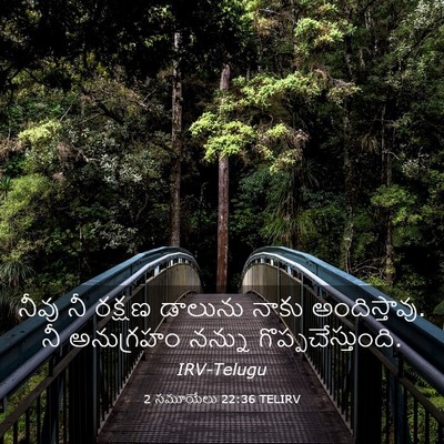Picture 03 - 2 సమూయేలు 22:36 TELIRV - నీవు నీ రక్షణ - Bible Verse Picture