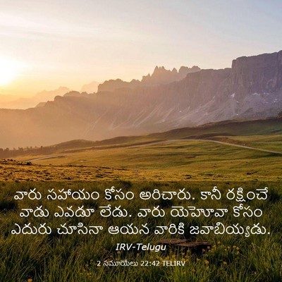 Picture 03 - 2 సమూయేలు 22:42 TELIRV - వారు సహాయం కోసం - Bible Verse Picture