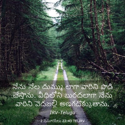 Picture 03 - 2 సమూయేలు 22:43 TELIRV - నేను నేల దుమ్ము - Bible Verse Picture