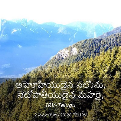 Picture 03 - 2 సమూయేలు 23:28 TELIRV - అహోహీయుడైన - Bible Verse Picture