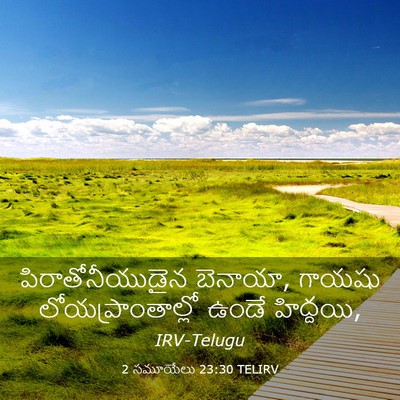 Picture 03 - 2 సమూయేలు 23:30 TELIRV - పిరాతోనీయుడైన - Bible Verse Picture