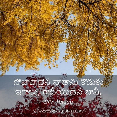 Picture 03 - 2 సమూయేలు 23:36 TELIRV - సోబావాడైన నాతాను - Bible Verse Picture