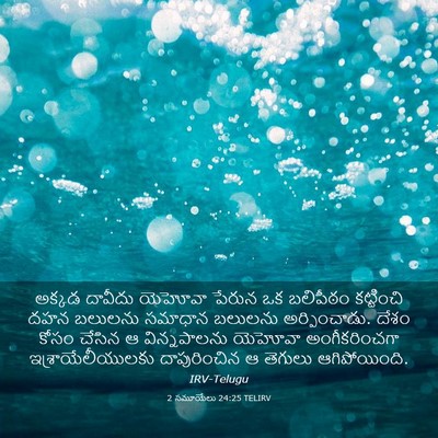 Picture 03 - 2 సమూయేలు 24:25 TELIRV - అక్కడ దావీదు - Bible Verse Picture