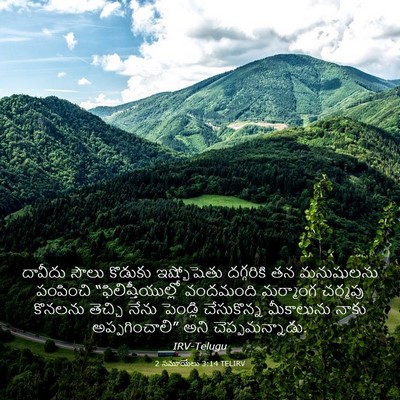Picture 03 - 2 సమూయేలు 3:14 TELIRV - దావీదు సౌలు - Bible Verse Picture