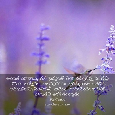 Picture 03 - 2 సమూయేలు 3:23 TELIRV - అయితే యోవాబు, తన - Bible Verse Picture