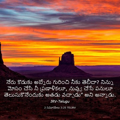 Picture 03 - 2 సమూయేలు 3:25 TELIRV - నేరు కొడుకు - Bible Verse Picture