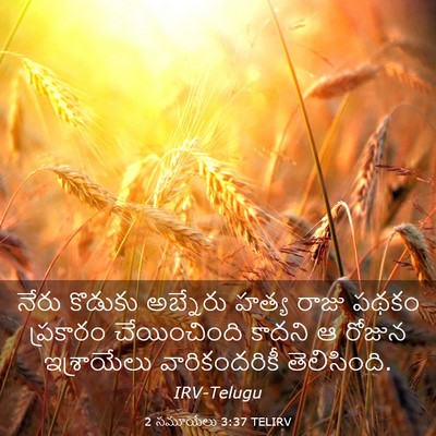 Picture 03 - 2 సమూయేలు 3:37 TELIRV - నేరు కొడుకు - Bible Verse Picture