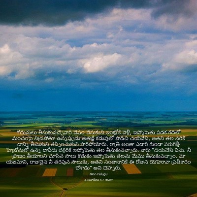 Picture 03 - 2 సమూయేలు 4:7 TELIRV - గోదుమలు - Bible Verse Picture
