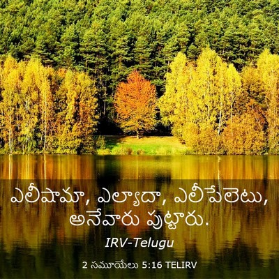 Picture 03 - 2 సమూయేలు 5:16 TELIRV - ఎలీషామా, ఎల్యాదా, - Bible Verse Picture