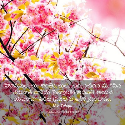 Picture 03 - 2 సమూయేలు 6:18 TELIRV - హోమబలులు, - Bible Verse Picture