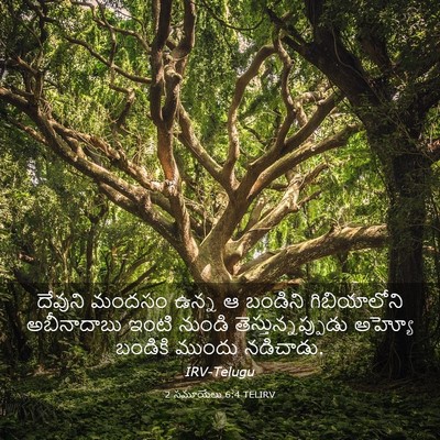 Picture 03 - 2 సమూయేలు 6:4 TELIRV - దేవుని మందసం ఉన్న - Bible Verse Picture