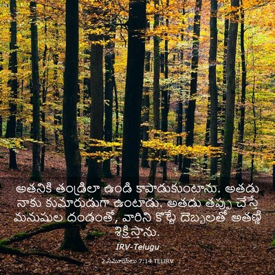 Picture 03 - 2 సమూయేలు 7:14 TELIRV - అతనికి తండ్రిలా - Bible Verse Picture