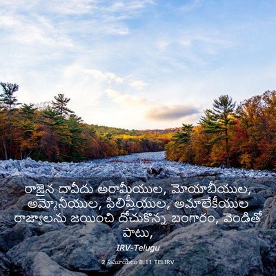 Picture 03 - 2 సమూయేలు 8:11 TELIRV - రాజైన దావీదు - Bible Verse Picture