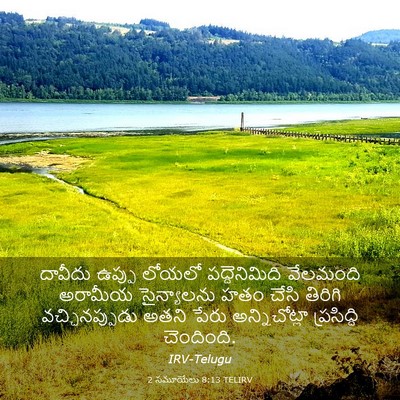 Picture 03 - 2 సమూయేలు 8:13 TELIRV - దావీదు ఉప్పు - Bible Verse Picture
