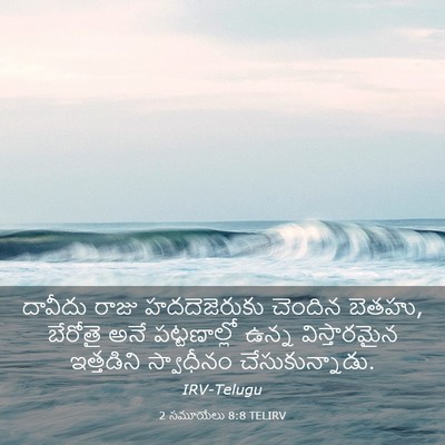 Picture 03 - 2 సమూయేలు 8:8 TELIRV - దావీదు రాజు - Bible Verse Picture