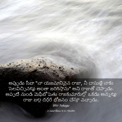 Picture 03 - 2 సమూయేలు 9:11 TELIRV - అప్పుడు సీబా “నా - Bible Verse Picture